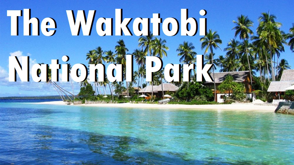 The Wakatobi National Park