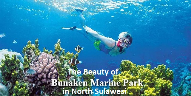 The Beauty of Bunaken Marine Park in North Sulawesi