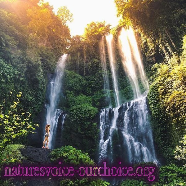 Best Hidden Waterfalls in Bali